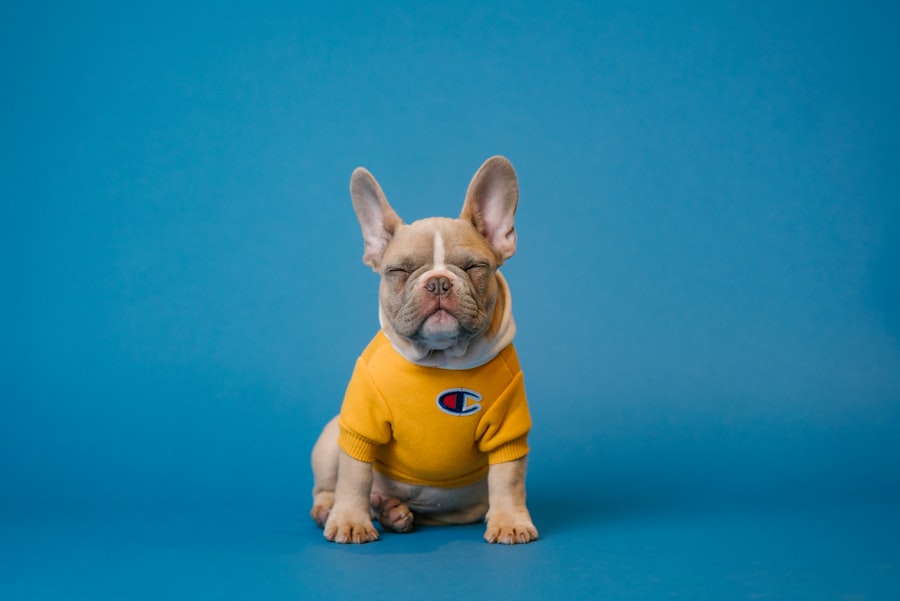Our first office mascot had stronger opinions about folder-naming conventions than most of the team.